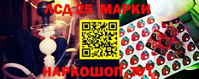 a pvp Сланцы