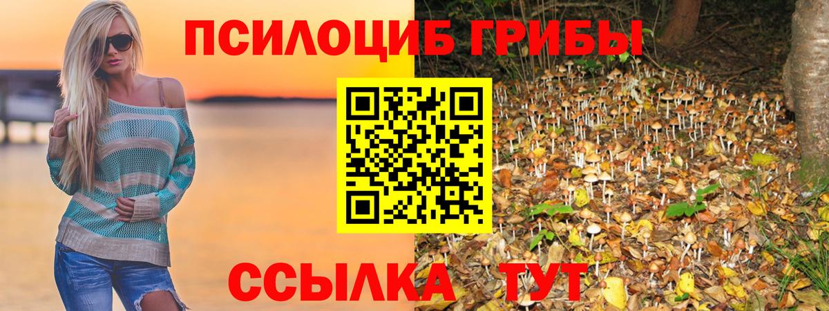 Псилоцибиновые грибы ЛСД Ноябрьск