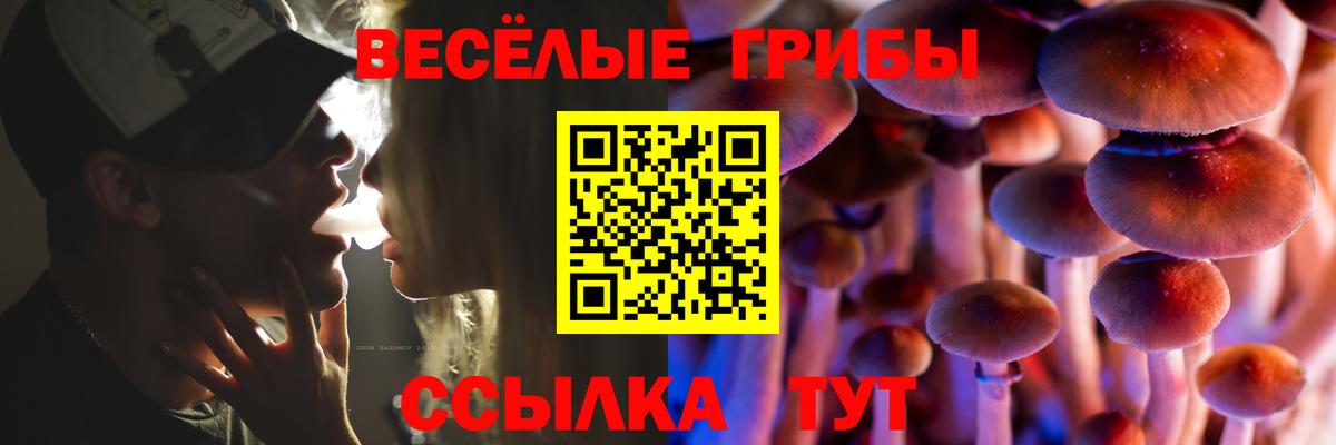 Галлюциногенные грибы Psilocybine cubensis  Вход с VPN  Ноябрьск 